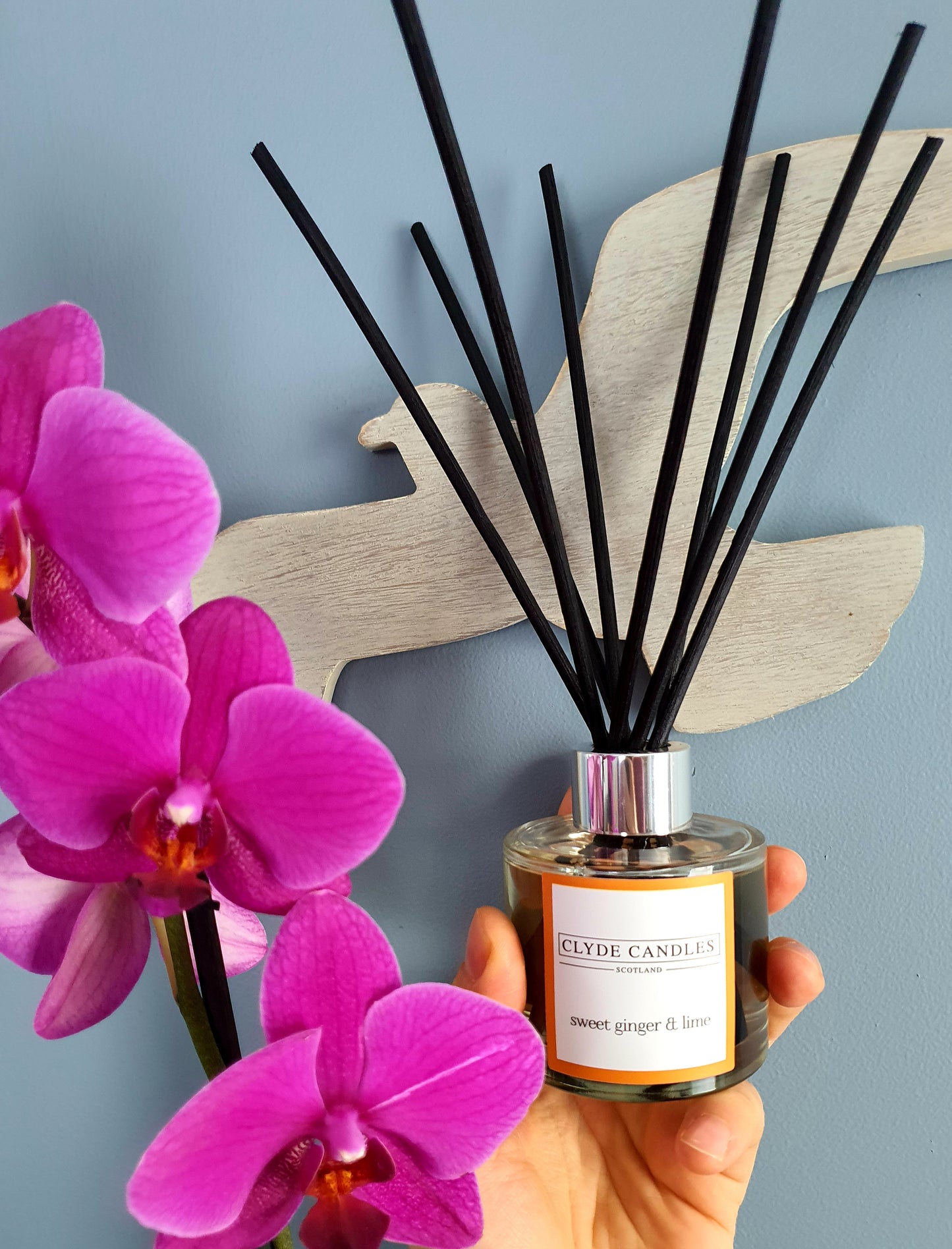 Sweet Ginger & Lime Reed Diffuser - Clyde Candles, Luxury Diffuser Oil with a Set of 7 Fibre Sticks, 100ml, Best Aroma Scent for Home, Kitchen, Living Room, Bathroom. Fragrance Diffusers set with sticks