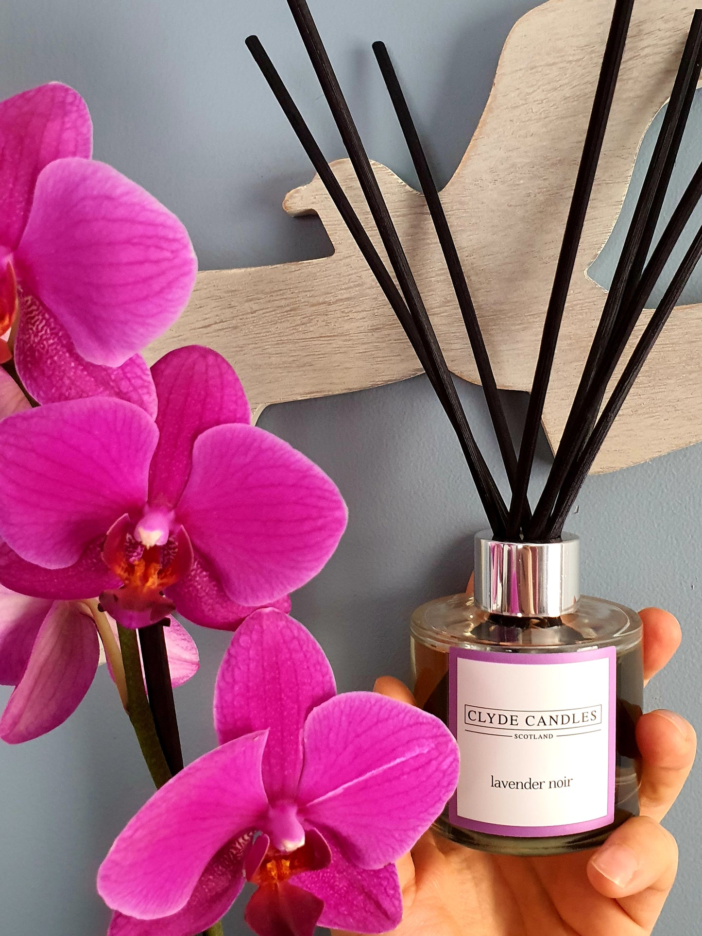 Lavender Noir Reed Diffuser - Clyde Candles, Luxury Diffuser Oil with a Set of 7 Fibre Sticks, 100ml, Best Aroma Scent for Home, Kitchen, Living Room, Bathroom. Fragrance Diffusers set with sticks