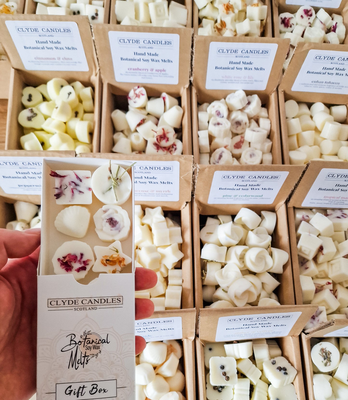 clyde candles botanical wax melts