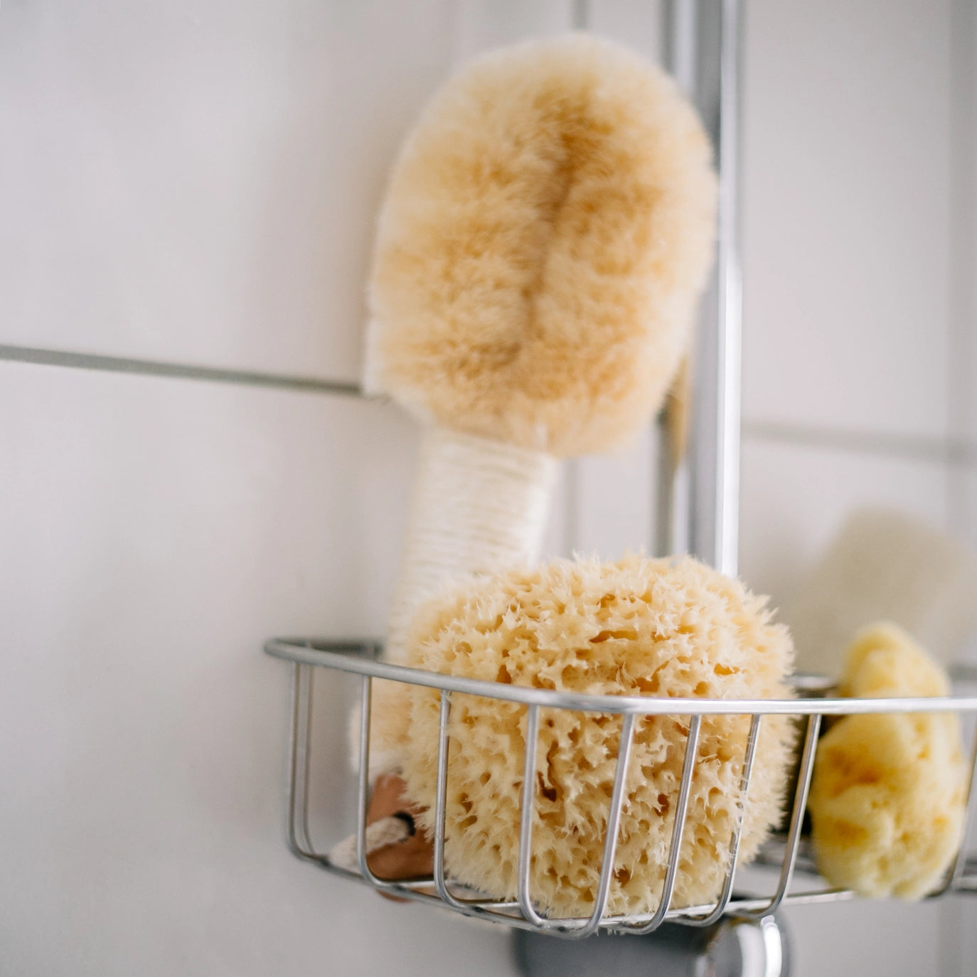 Natural Sea Sponge – Sustainable Boho Bath & Spa Wellness