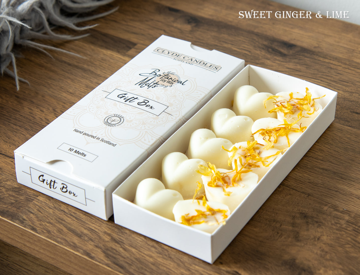 clyde candles botanical wax melts sweet ginger and lime