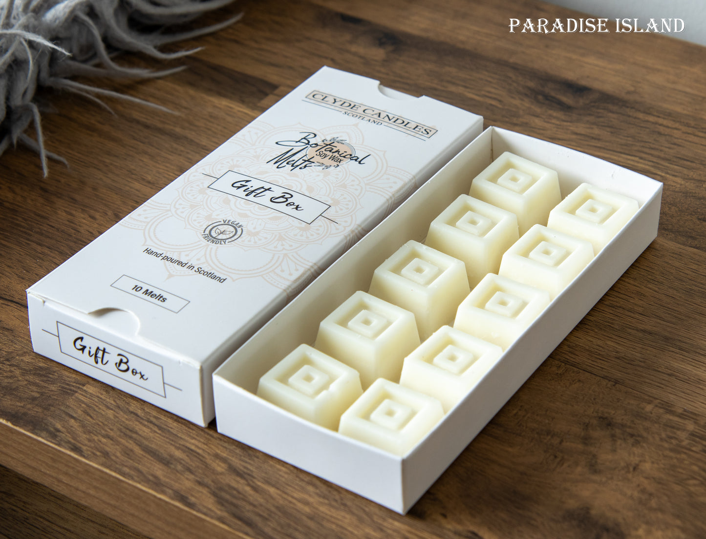 clyde candles botanical wax melts paradise island