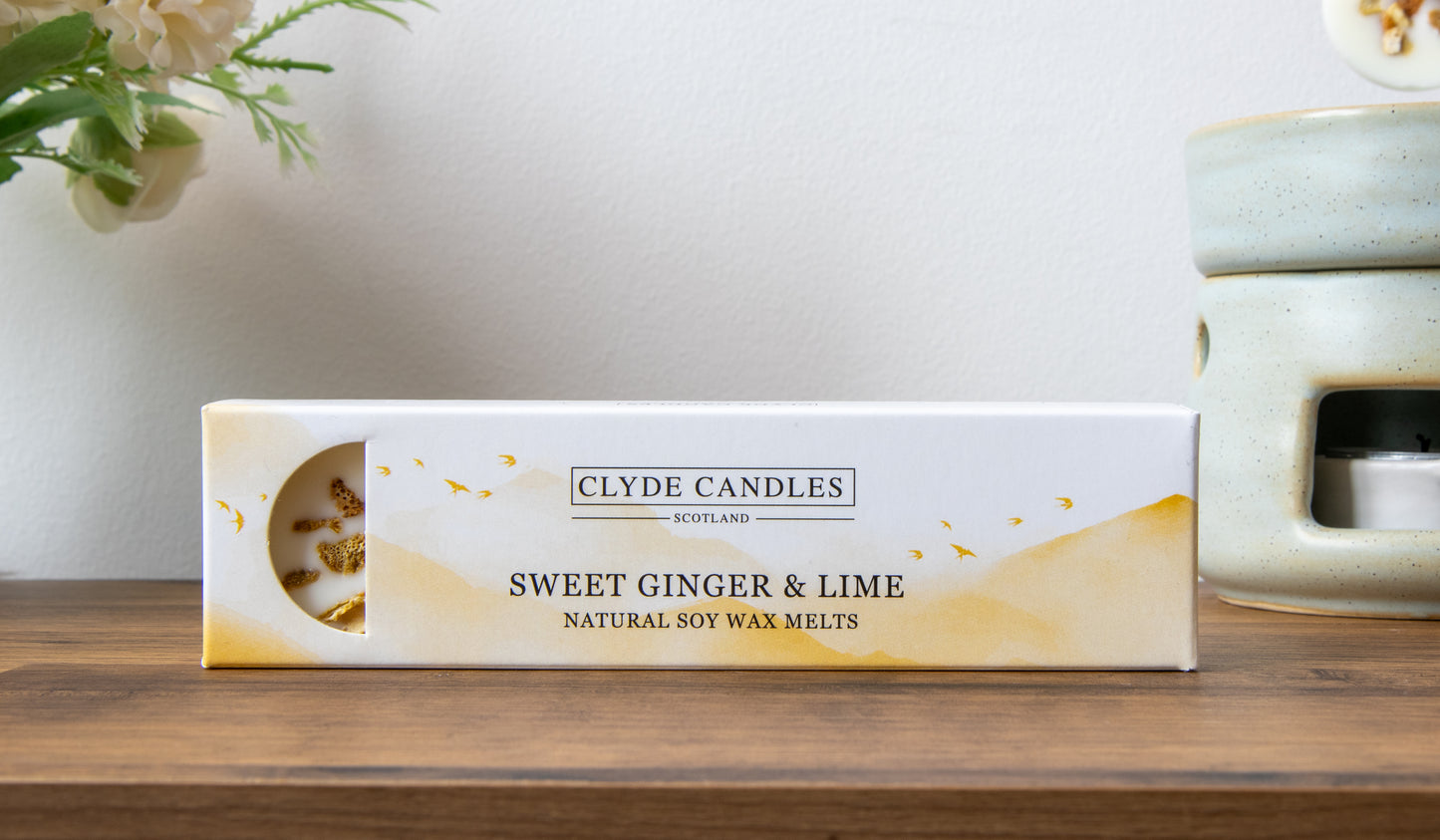 Botanical Wax Melts - Box of 4
