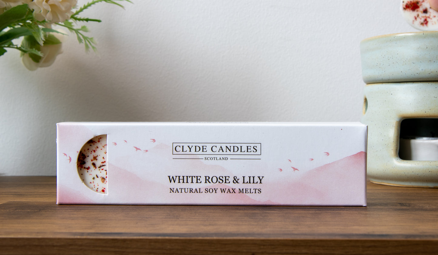 Botanical Wax Melts - Box of 4