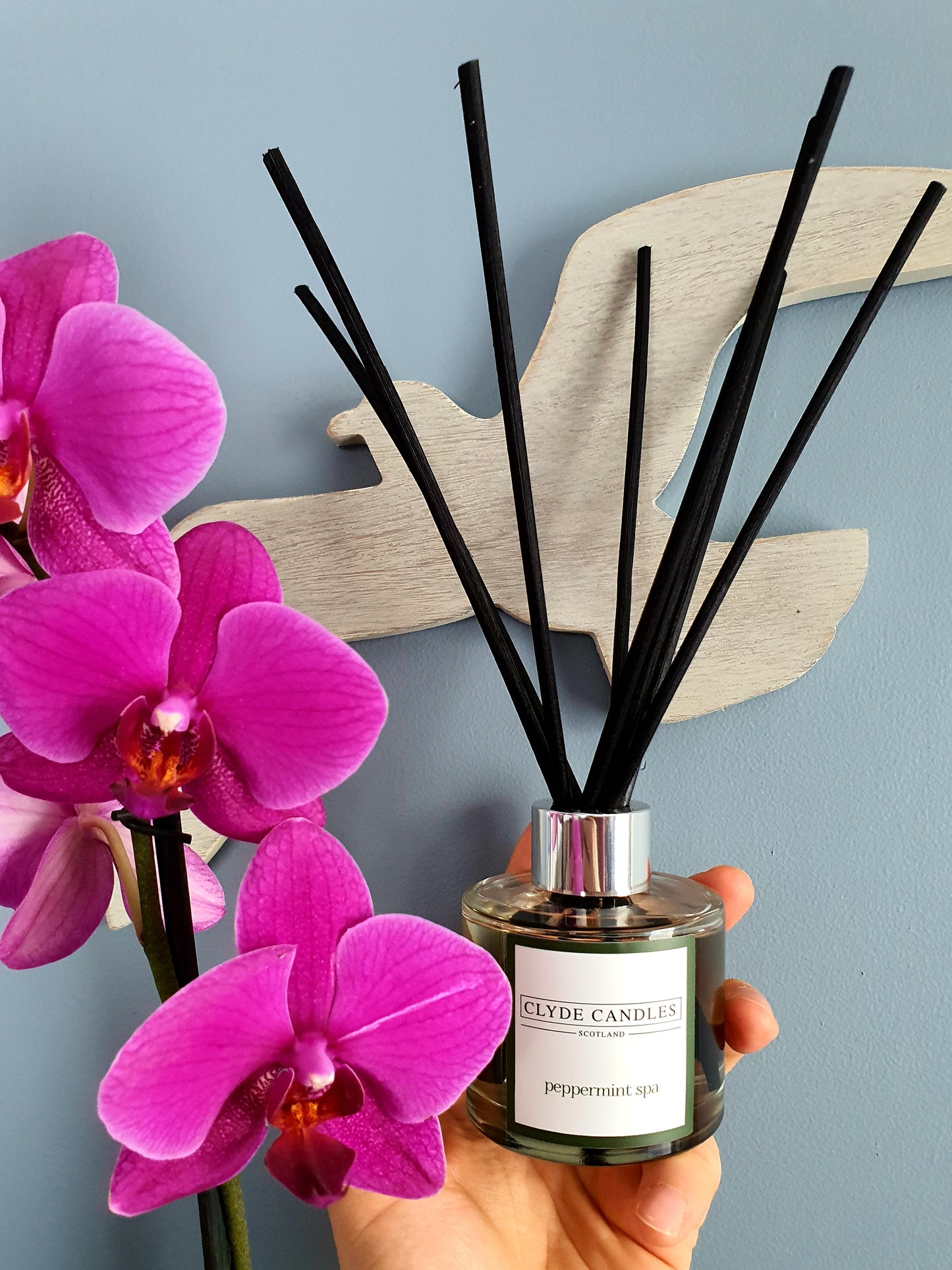 Peppermint Spa Reed Diffuser - Clyde Candles, Luxury Diffuser Oil with a Set of 7 Fibre Sticks, 100ml, Best Aroma Scent for Home, Kitchen, Living Room, Bathroom. Fragrance Diffusers set with sticks