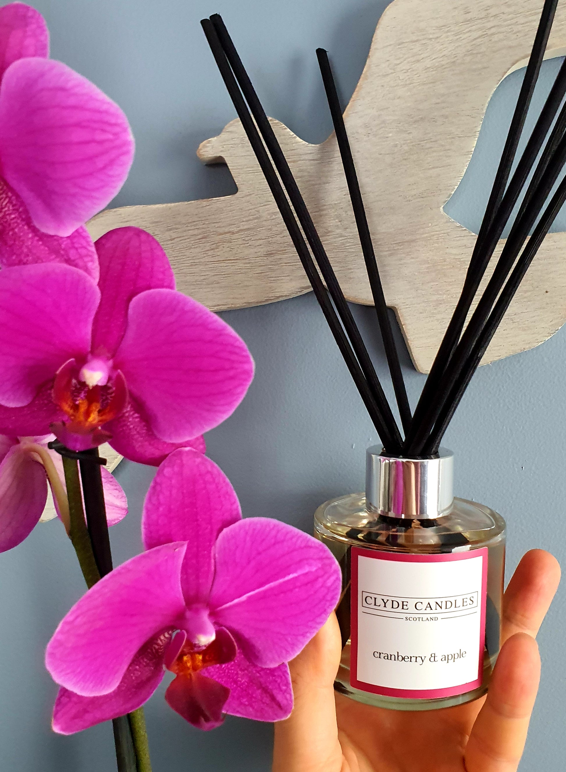 Cranberry & Apple Reed Diffuser - Clyde Candles, Luxury Diffuser Oil with a Set of 7 Fibre Sticks, 100ml, Best Aroma Scent for Home, Kitchen, Living Room, Bathroom. Fragrance Diffusers set with sticks
